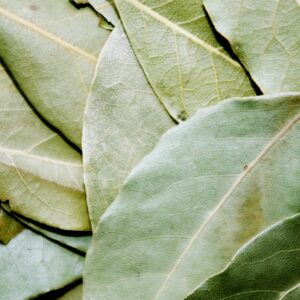 Lagerblad eko / Laurel leaf  organic 10 ml