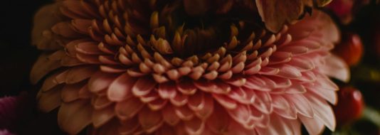 Blommor Blommor